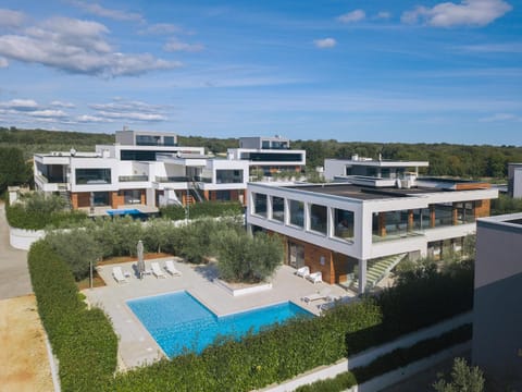 Villa Amella Villa in Vodnjan