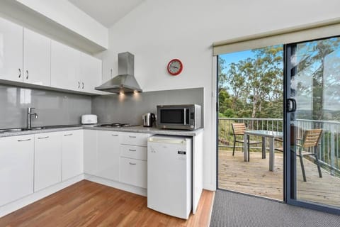 Kitchen or kitchenette, toaster