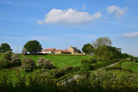 Natural landscape, View (from property/room)