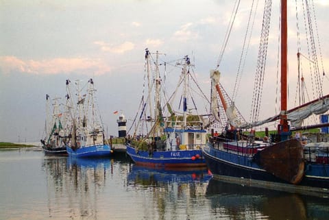 Natural landscape, Activities, Lake view, Sea view