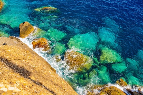 Portofino Finestra sul Mare - Free Parking - AC Apartment in Portofino