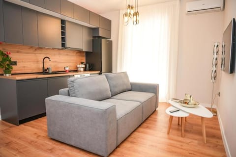 TV and multimedia, Kitchen or kitchenette, Living room, Seating area, Dining area, air conditioner