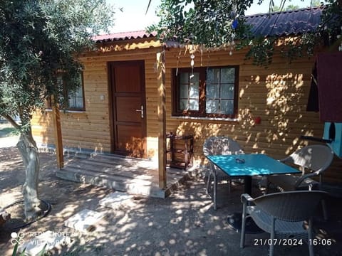 Property building, Patio, Day, Dining area