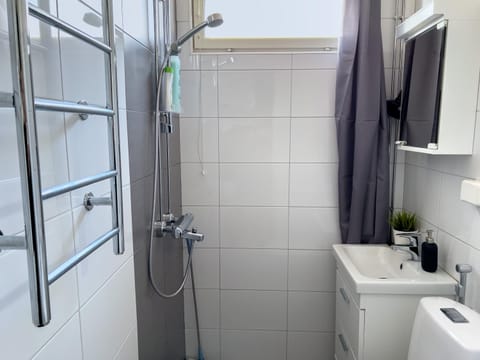 Shower, Toilet, Bathroom, bidet, hair dryier