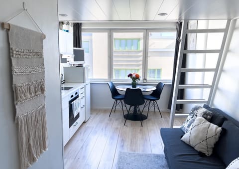 Kitchen or kitchenette, Living room, Seating area, Dining area, oven, stove