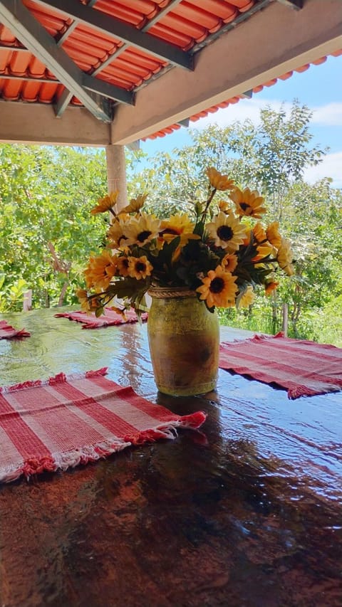 Day, Garden view