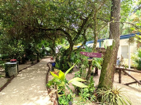 BBQ facilities