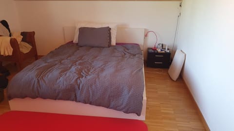 Casa Hame Apartment in Kloten