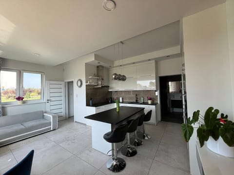Kitchen or kitchenette, Living room, Seating area, oven, stove