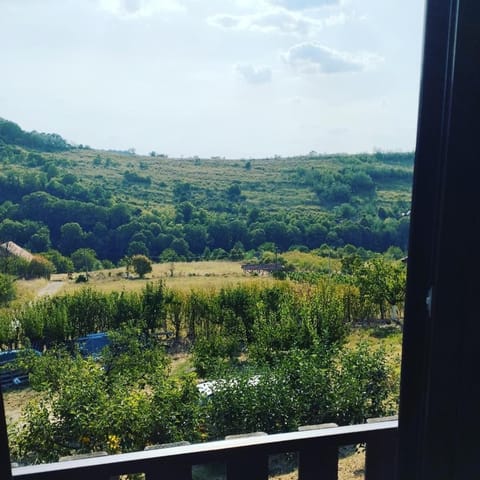 View (from property/room), Balcony/Terrace, Garden view, Mountain view