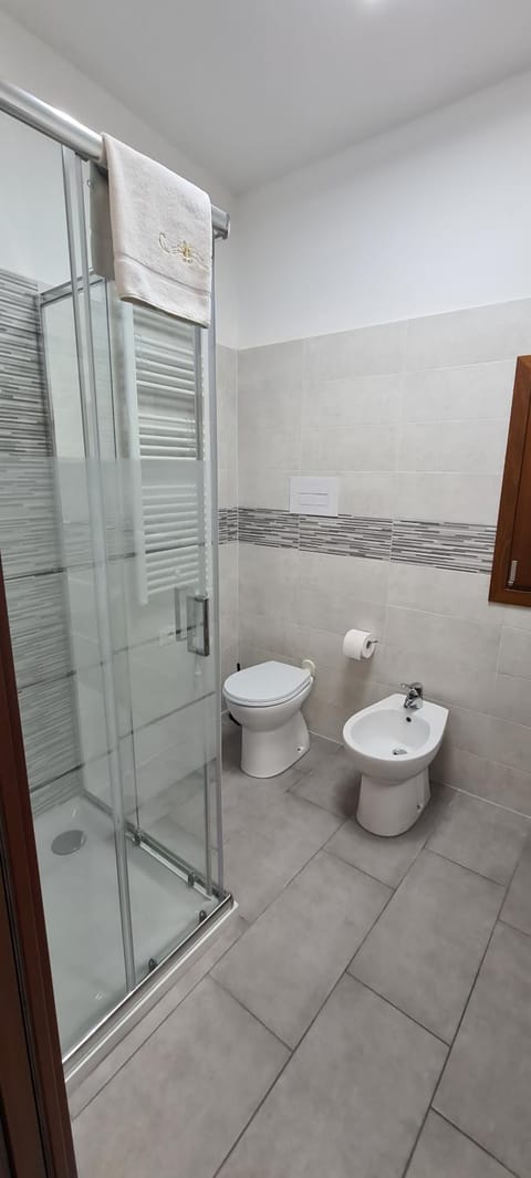 Shower, Toilet, Bathroom, bidet