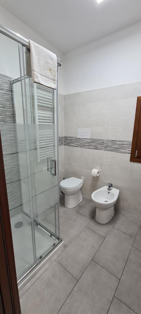 Shower, Toilet, Bathroom, bidet