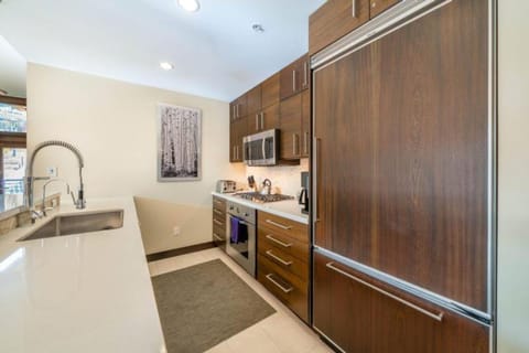 Hayden Lodge 2202 by Snowmass Mountain Lodging Apartment in Snowmass Village