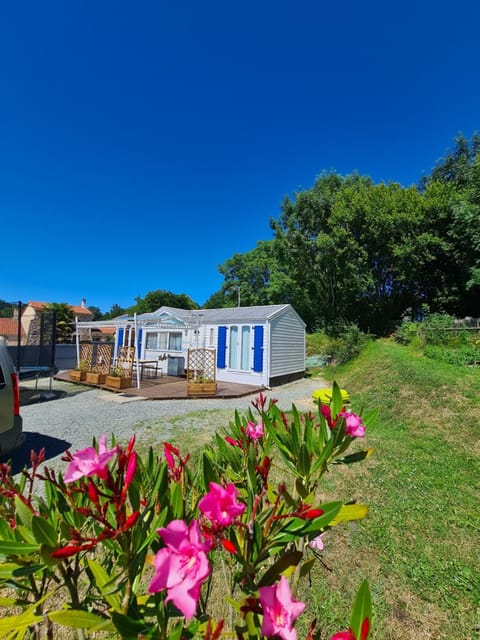 Property building, Garden view