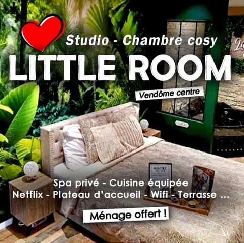 Appartement Chambre Cosy - Jacuzzi - Little Room Vendôme Apartment in Vendôme