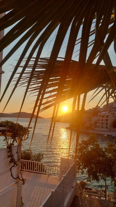 Odore Di Mare Apartment in Neum