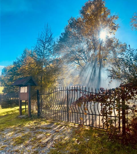 Spring, Day, Natural landscape, Garden, Garden view