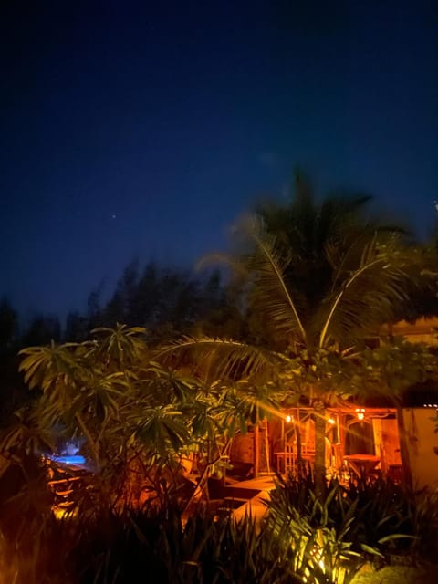 Night, Garden, Garden view