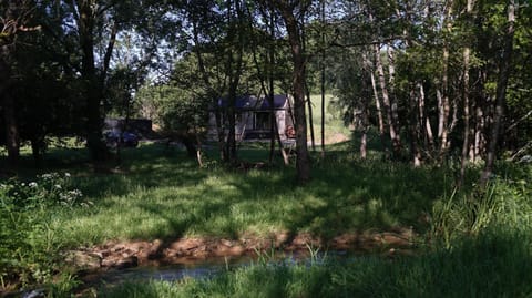 Day, Garden
