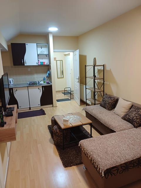 NIKA apartman stan na dan Apartment in Vojvodina