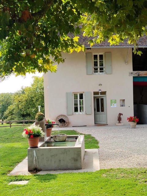 Property building, Patio, Billiard, Garden, Garden view