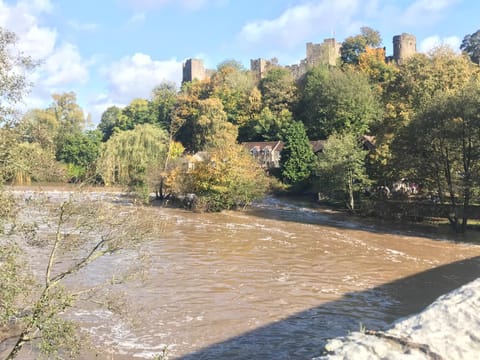 Nearby landmark, Natural landscape