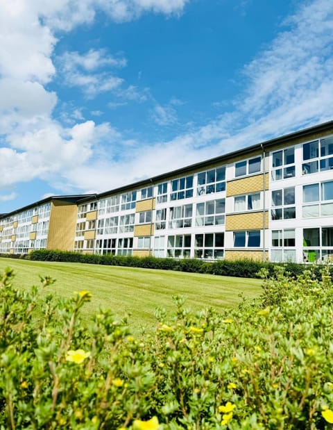 Property building, Day, Garden, Garden view