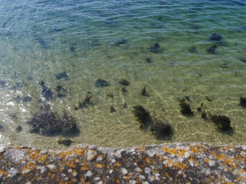 Ti Nolgann House in Plouguerneau