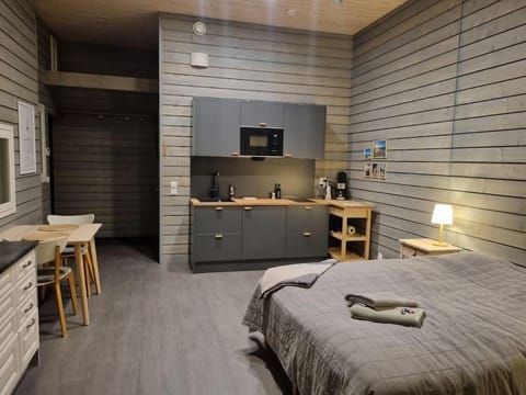 Kitchen or kitchenette, Photo of the whole room