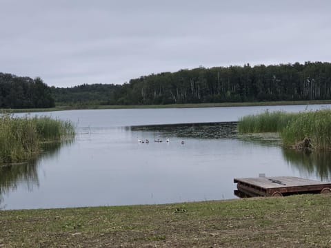 Day, Natural landscape, Lake view