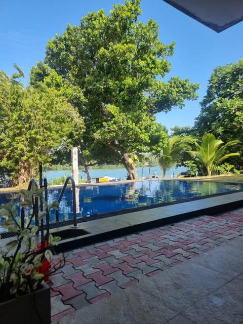 Day, Natural landscape, Garden, Garden view, Pool view, Swimming pool