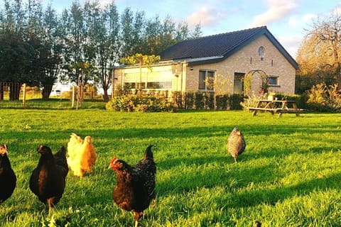 Luxe vrijstaand gastenverblijf - landelijk gelegen House in Utrecht