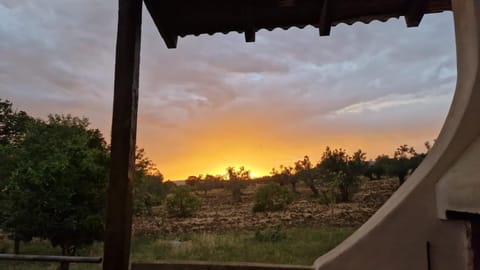 Natural landscape, Sunset
