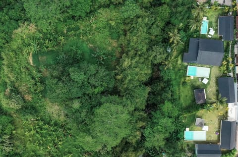 Neighbourhood, Natural landscape, Bird's eye view