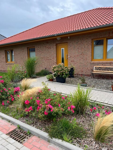 Property building, Garden view