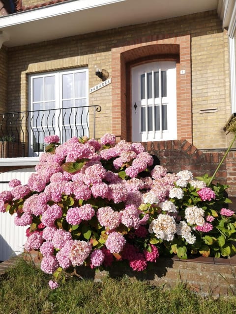 Charming house Panacea House in Koksijde