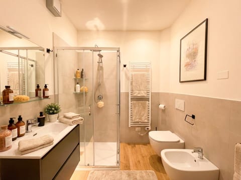 Shower, Toilet, Bathroom, bidet, towels