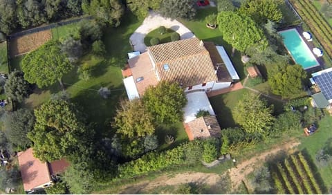 Bird's eye view, Swimming pool