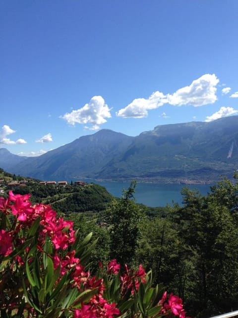 Residence Garden Apartment in Tignale