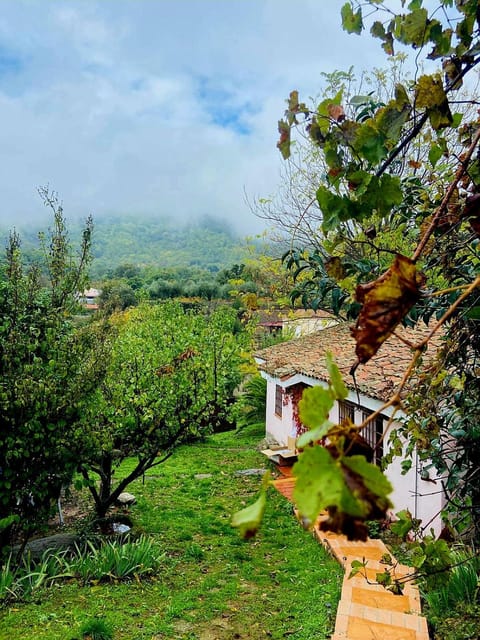 Day, Natural landscape, Garden view, Mountain view