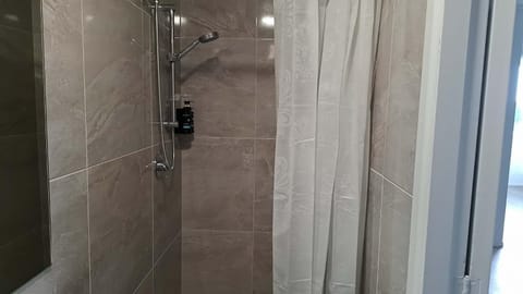 9 Beds including 3 Double Beds, 4 Single Beds, 2 Sofa Bed, Suite 1, 37 Totara Avenue, New Lynn Apartment in Auckland