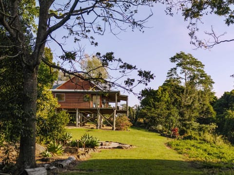 Property building, Natural landscape, Garden, Garden view