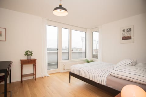 Top floor studio with terrace and free BaselCard Apartment in Basel