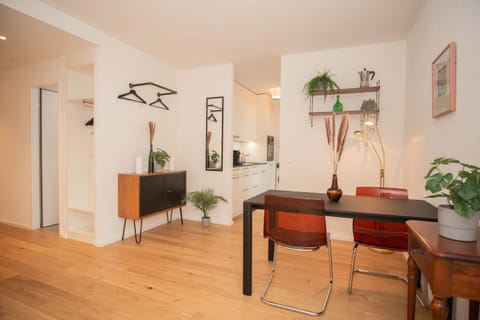 Top floor studio with terrace and free BaselCard Apartment in Basel
