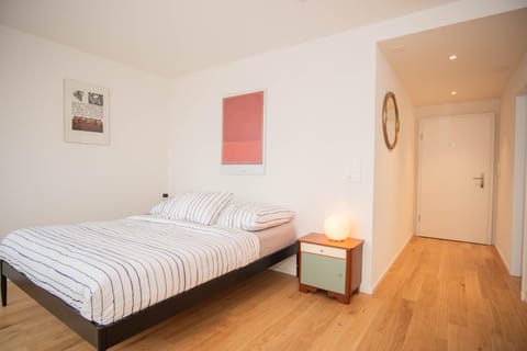 Top floor studio with terrace and free BaselCard Apartment in Basel