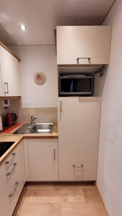Kitchen or kitchenette, dishwasher, stove