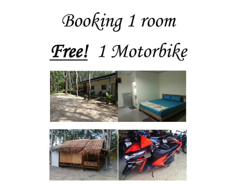 Pitt Bungalow Nature lodge in Sala Dan