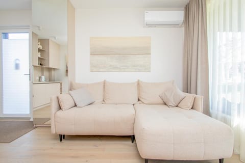Living room, Seating area, air conditioner