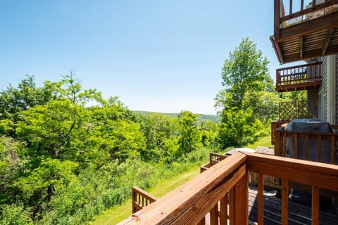 Villages of Wisp 66 Bright Passage House in McHenry