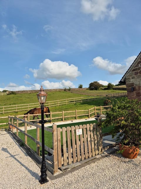 Luxury Peak District stay set in private land with horses and country Pub - Dog Friendly House in Belper